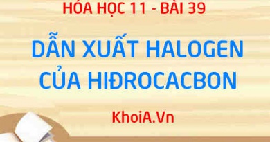 Dẫn xuất Halogen là gì? Tính chất vật lý, tính chất hóa học của dẫn xuất Halogen - Hóa 11 bài 39